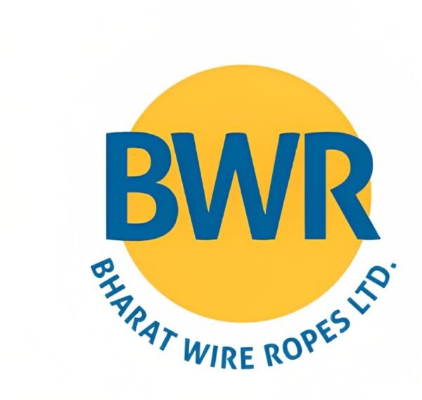 Bharat Wire Ropes announce the changes in the board